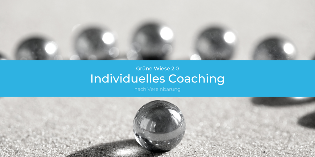 Banner Individuelles Coaching