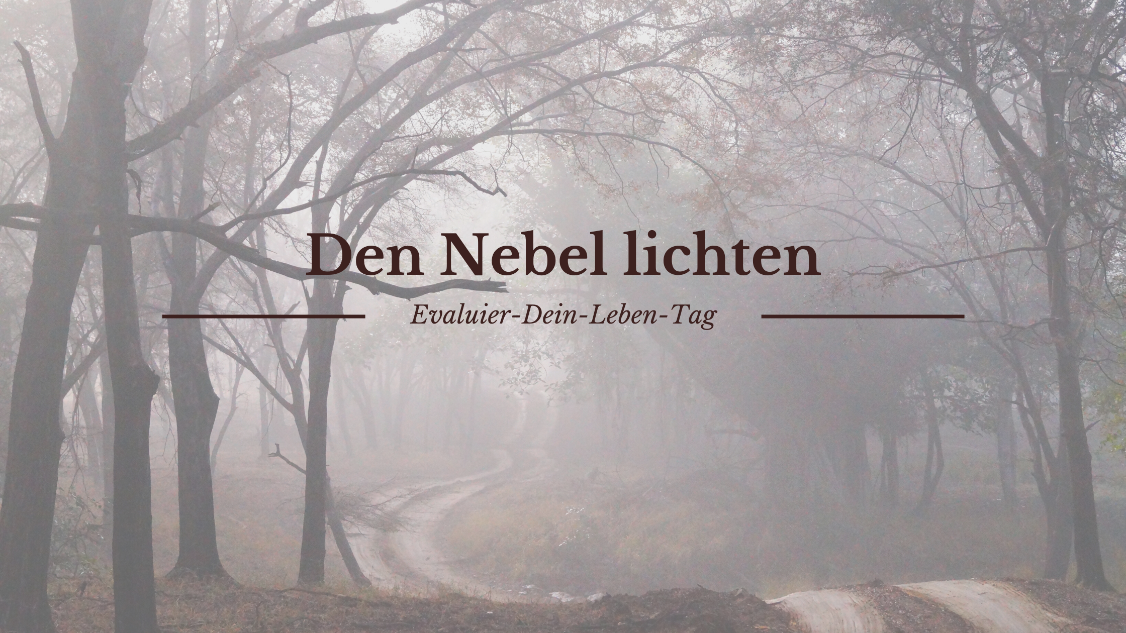 Den Nebel lichten Blog-Banner