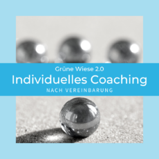 Produktbild Individuelles Coaching